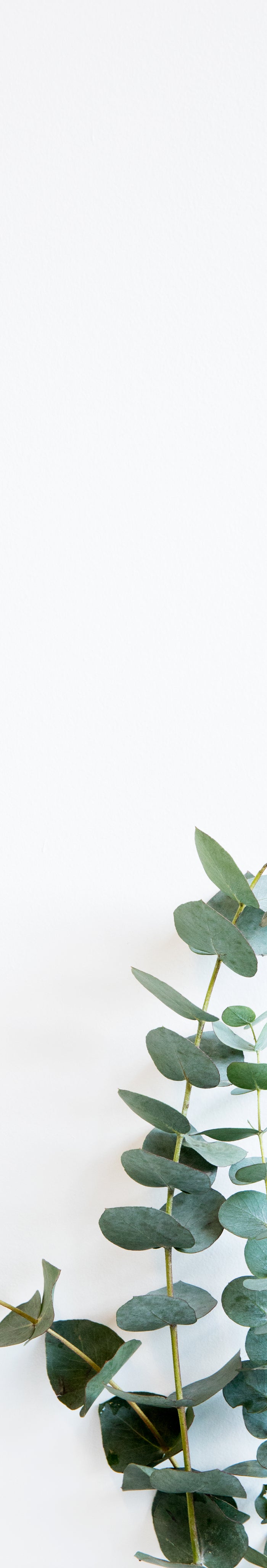 <h1>How can we help you?</h1>